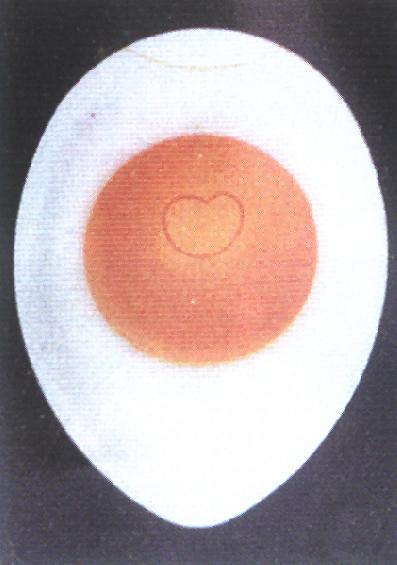 福辉孵化机禽胚发育参考图