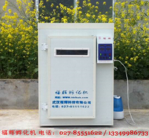 湖北京山孵化机设备案例孟老板价格